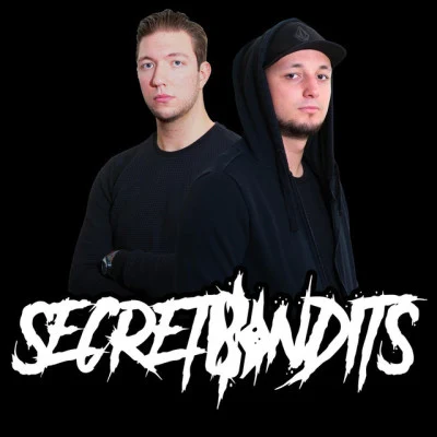 歌手 Secret Bandits