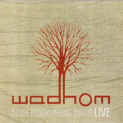 歌手 Wadhom