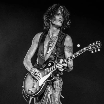 歌手 Joe Perry