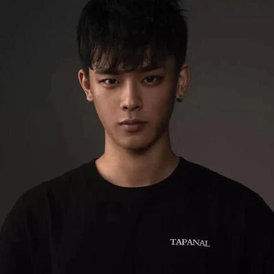 歌手 TAPANAL