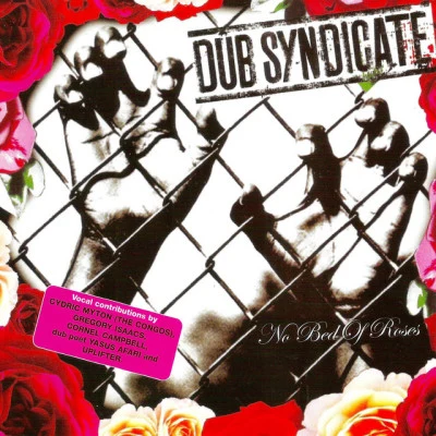 歌手 Dub Syndicate