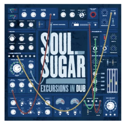 歌手 Soul Sugar