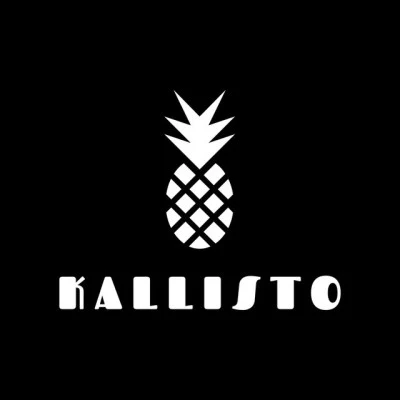 歌手 KallistoBarefoot