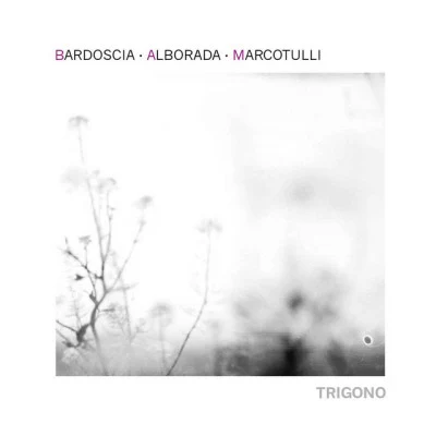 歌手 Quartetto AlboradaOmar SosaPaolo Fresu