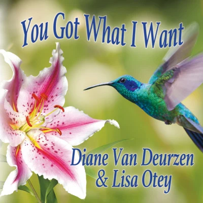 歌手 Diane Van Deurzen