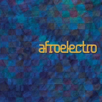 歌手 Afroelectro