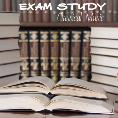 歌手 Exam Study Classical Music Orchestra