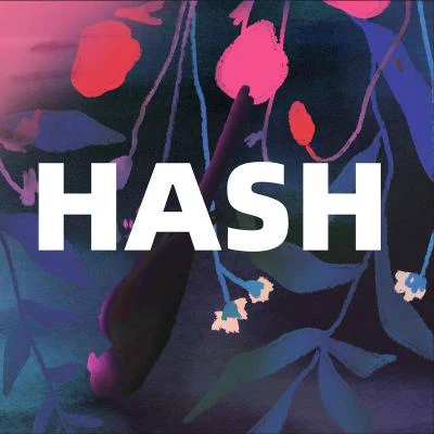 歌手 HASH乐队