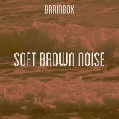 歌手 Brainbox