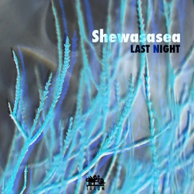 歌手 Shewasasea