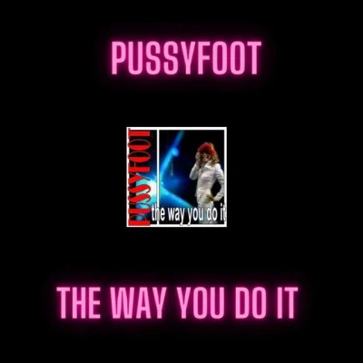 Pussyfoot Living In The 70s Volume 2