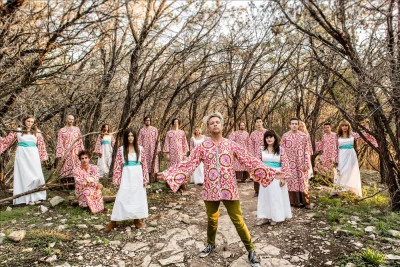 The Polyphonic Spree The Fragile Army