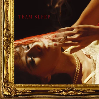 歌手 Team Sleep