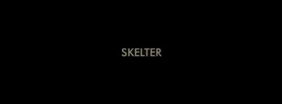 歌手 Skelter