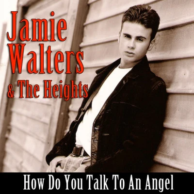 歌手 Jamie Walters &amp; The Heights