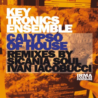 Key Tronics Ensemble/Gazzara/M-Swift/Papik/DJ Rodriguez/Jestofunk Acid Jazz & Funky Grooves