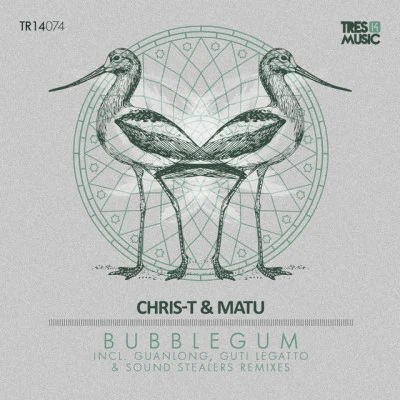 歌手 Chris-T &amp; Matu