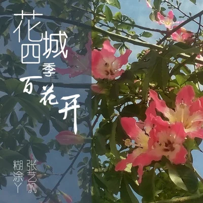 张艺帆/糊涂丫 花城四季百花开