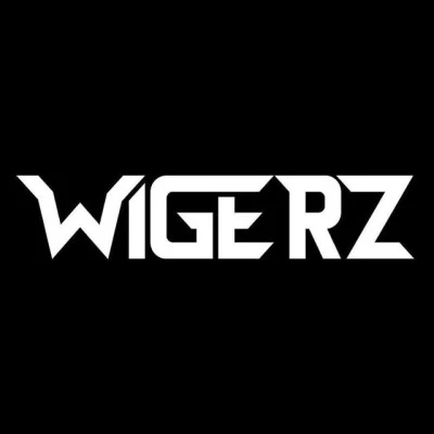 歌手 Wigerz