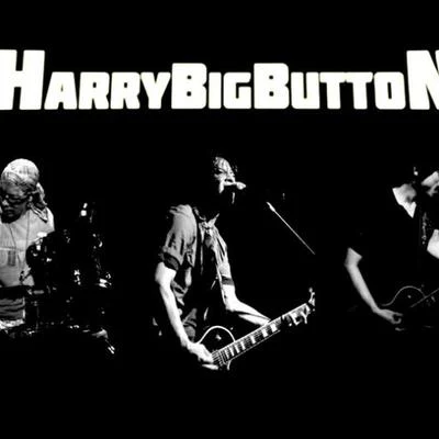 歌手 HarryBigButtonGarion