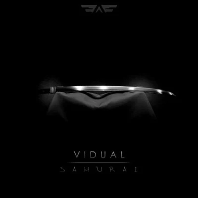 Vidual Vidual EP1