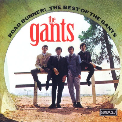 歌手 The Gants