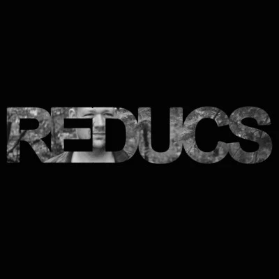 歌手 Reducs