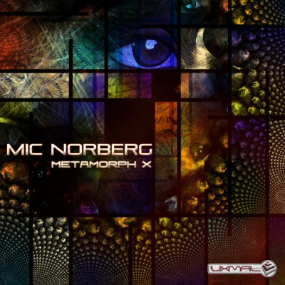 歌手 Mic Norberg