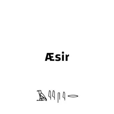 歌手 Æsir