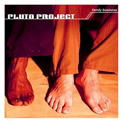 歌手 Pluto Project