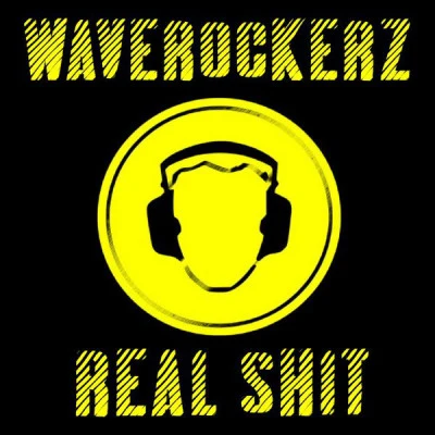 歌手 Waverockerz