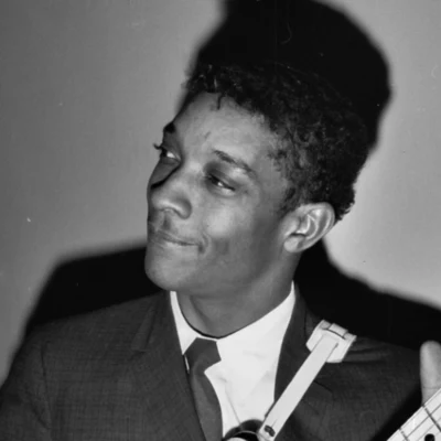 歌手 Hubert Sumlin