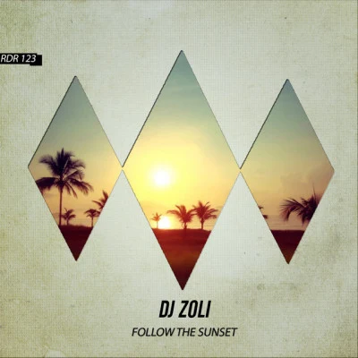 DJ Zoli Feel The Ambience - Single