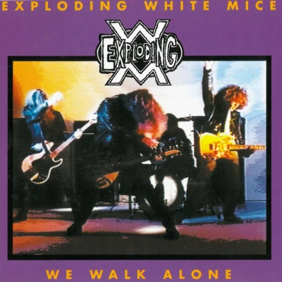 歌手 Exploding White Mice