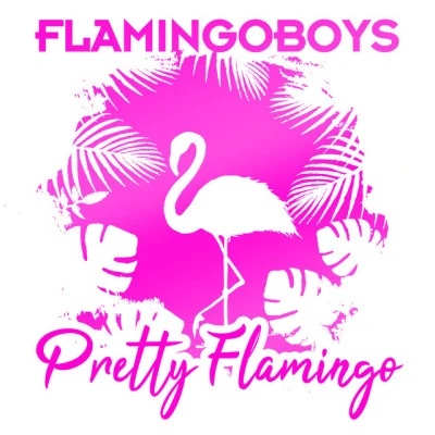 歌手 Flamingoboys