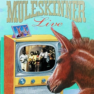 歌手 Muleskinner