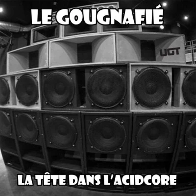 歌手 Le Gougnafié