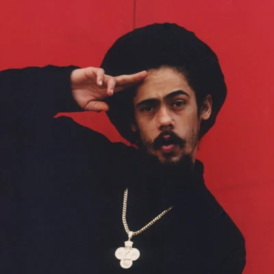 歌手 Damian Marley