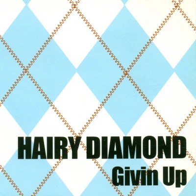 歌手 Hairy Diamond