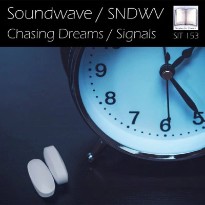 歌手 SoundwaveSNDWVSoundwave