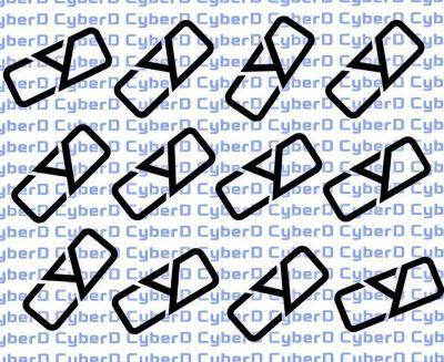 歌手 丁成玉CyberD