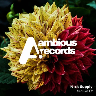 歌手 Nick Supply