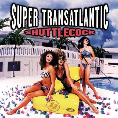 歌手 Super Transatlantic