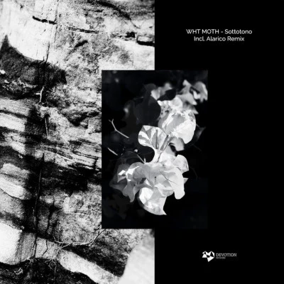 WHT MOTH Semiotics EP