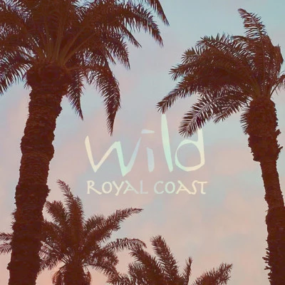 歌手 Wild Royal Coast