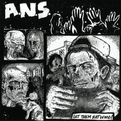 歌手 A.N.S.