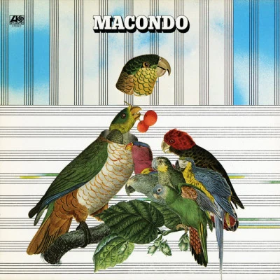 歌手 Macondo