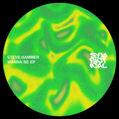 歌手 Steve Hammer