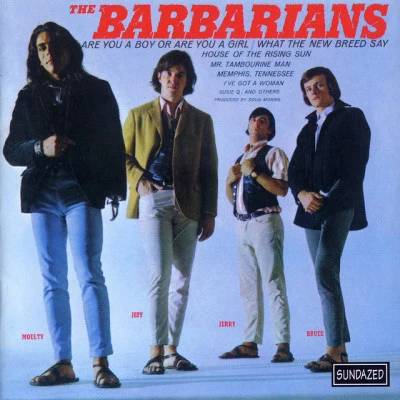 歌手 The Barbarians