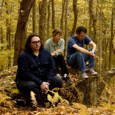 歌手 Yo La Tengo